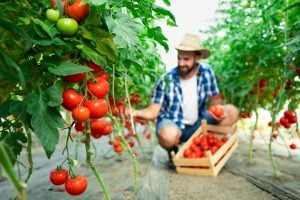 Regenerative Agriculture Practices